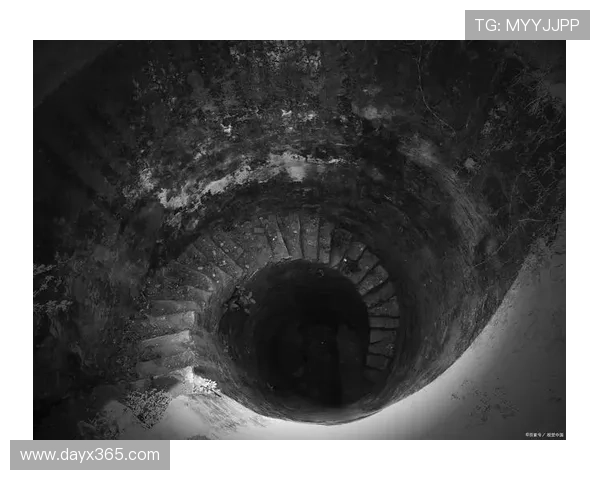 《凶兆2》：当阴影再次笼罩，你是否敢直视深渊？